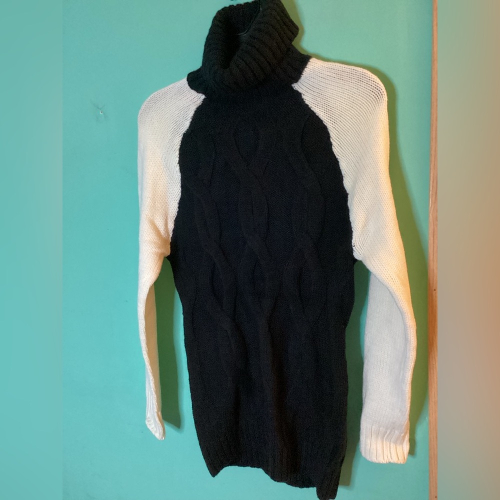 Express Knit Colorblock Turtleneck Sweater NWOT Size Small